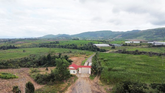 The livestock production project of Sao Do Company shows many violations. (Photo: SGGP)