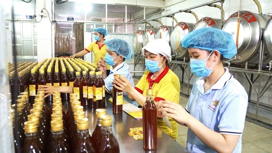 Workers are packaging bee honey for export. (Photo: SGGP)