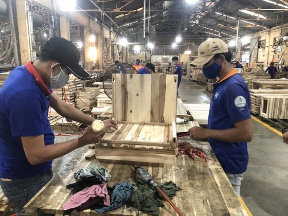 Furniture production at Thuan An Company. (Photo: SGGP)