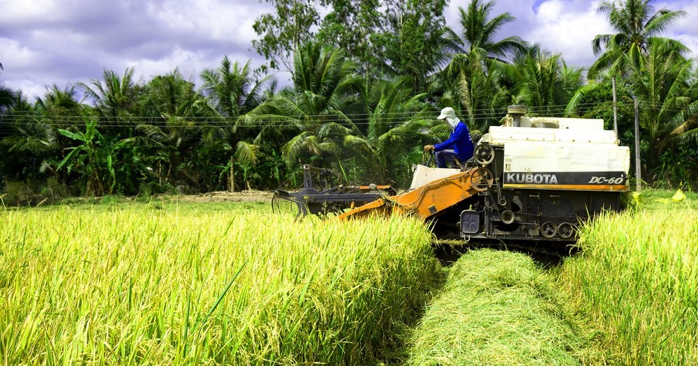 Illustrative image. (Photo: SGGP) Illustrative image. (Photo: SGGP)