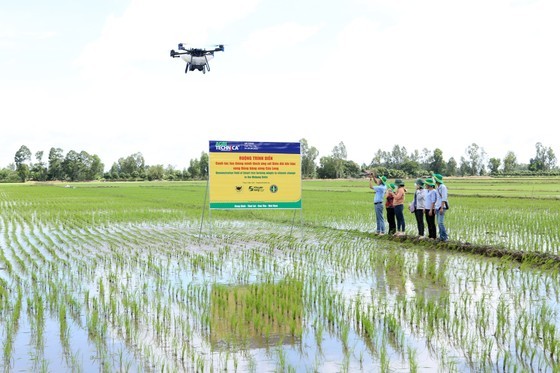 Binh Dien Fertilizer Joint Stock Company produces rice following high-tech farming process.