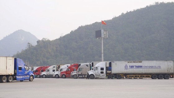 Cargo trucks gather at Huu Nghi and Tan Thanh border gates (Lang Son) waiting for customs clearance procedures.