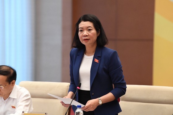 Vice Chairwoman of the committee Mai Thi Phuong Hoa speaks at the meeting. (Photo: SGGP)