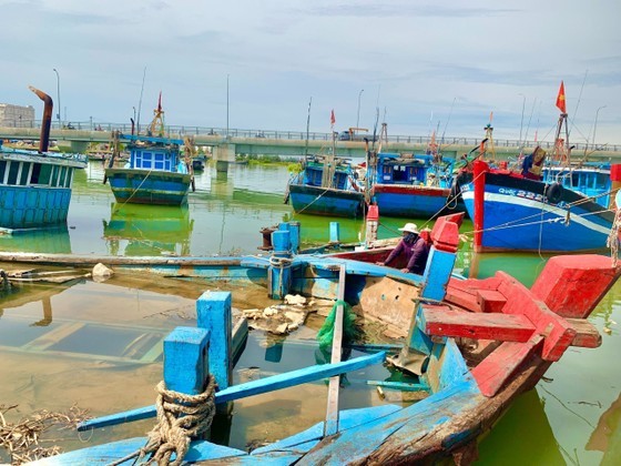 These vessels were once the source of pride for the fishermen, but now they have become sunken wrecks.