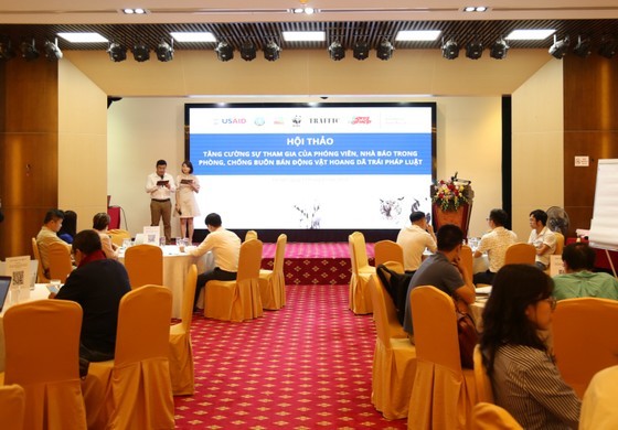 An overview of the seminar