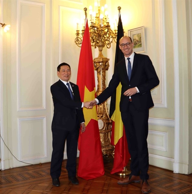 Vietnamese Minister of Finance Ho Duc Phoc meets with Belgian Deputy Prime Minister and Minister of Finance Vincent Van Peterghem in Brussels on July 4. (Photo: VNS)