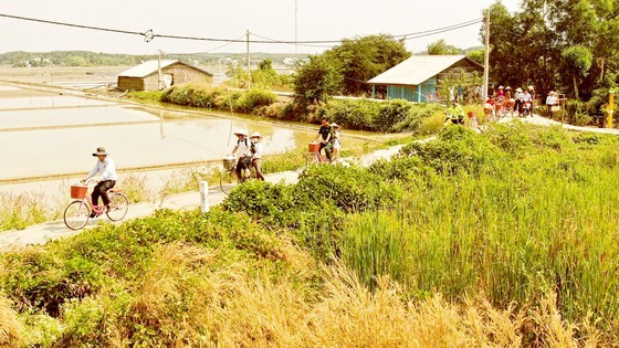 Visitors experience eco-tourism at Thieng Lieng Island, Can Gio District, Ho Chi Minh City. (Photo: SGGP)