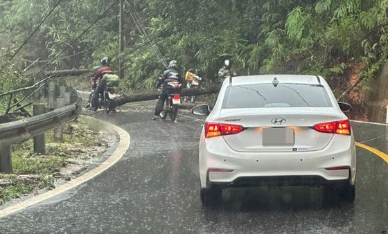 Rocks, trees fall onto Bao Loc Pass. Rocks, trees fall onto Bao Loc Pass.