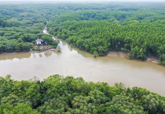 Can Gio Mangrove Forest