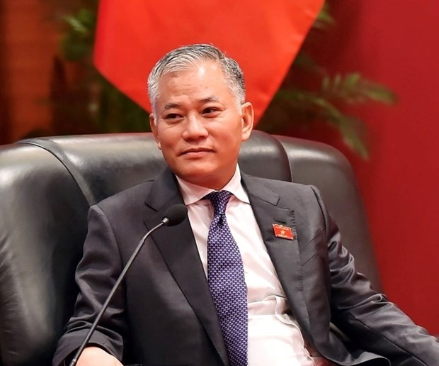Vice Chairman of the National Assembly's Committee for Foreign Affairs Don Tuan Phong.(Photo: VNS)