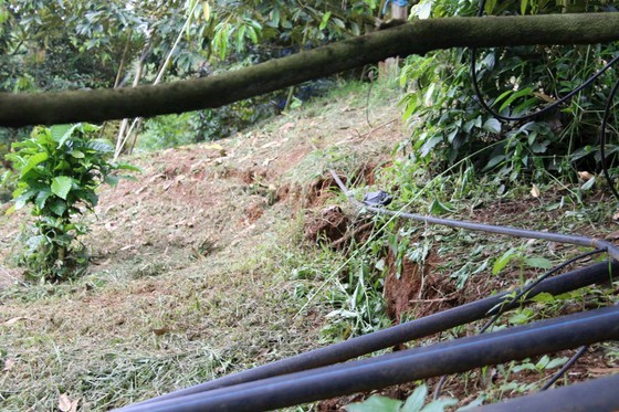 Many long cracks in Hamlet 17 in Nhan Co Commune