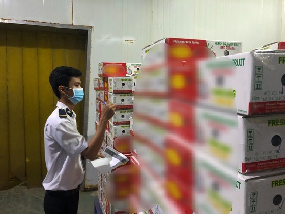 Quarantine inspector inspects at an agricultural warehouse before export.