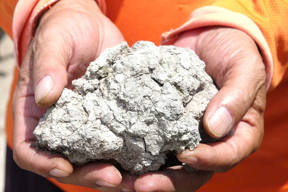 Từ mảnh đất bị nhiễm phèn nặng, cây cối còi cọc hiện tại đã thành vùng đất trù phú, mang lại lợi nhuận chục tỷ đồng cho anh Nguyễn Thanh Tuấn (1).jpg