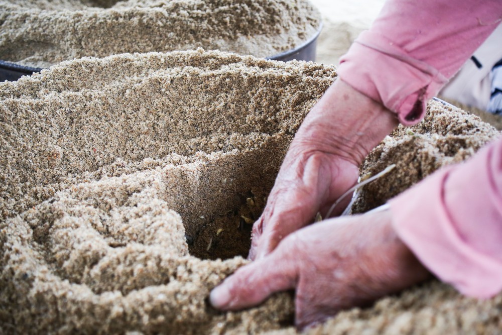 lam-dau-gia-19-1-of-1-7479-7581.jpg.jfif