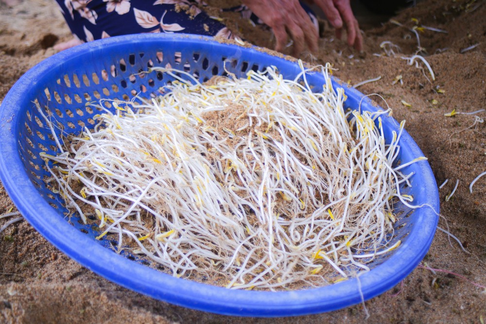 lam-dau-gia-2-1-of-1-908-8441.jpg.jfif