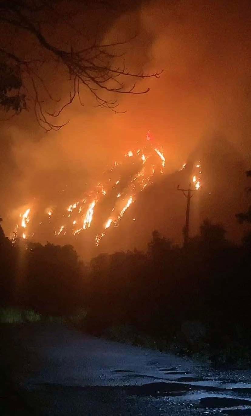 img-8306-1032-5287.jpeg.jfif