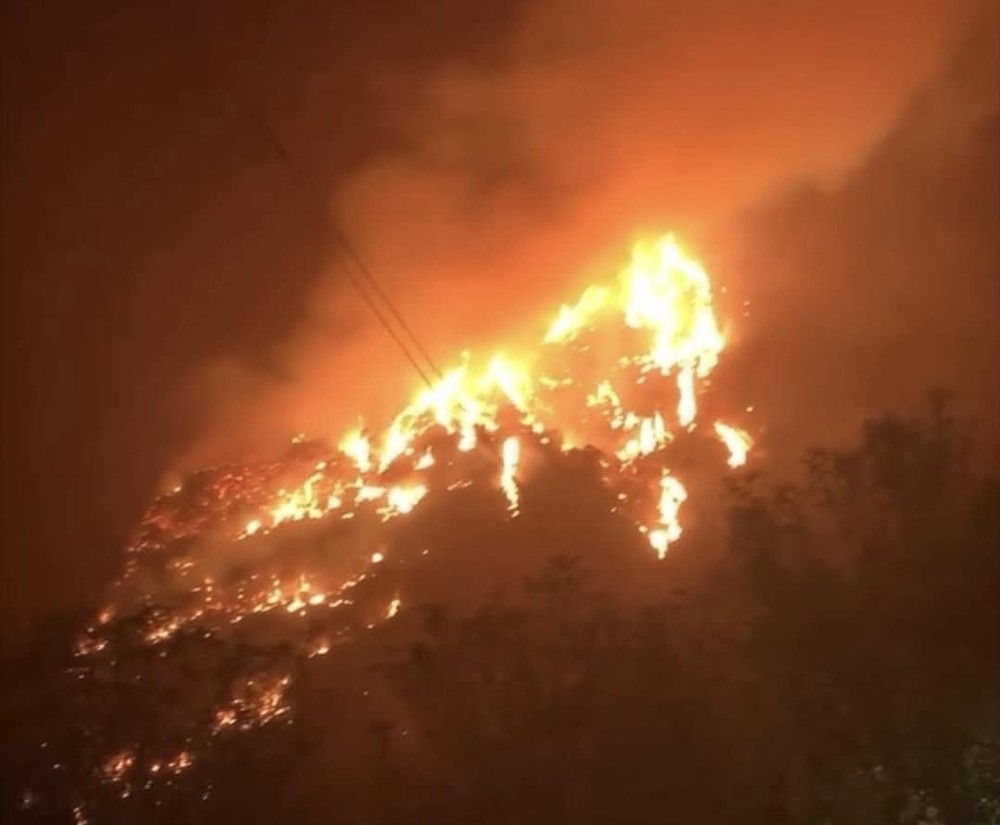 img-8309-9383-6180.jpeg.jfif