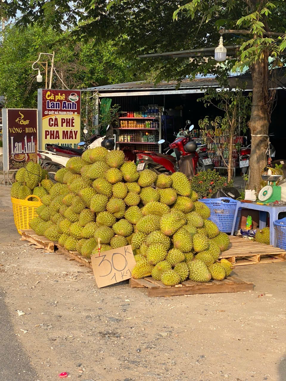 2-2989-6207.jpg.jfif