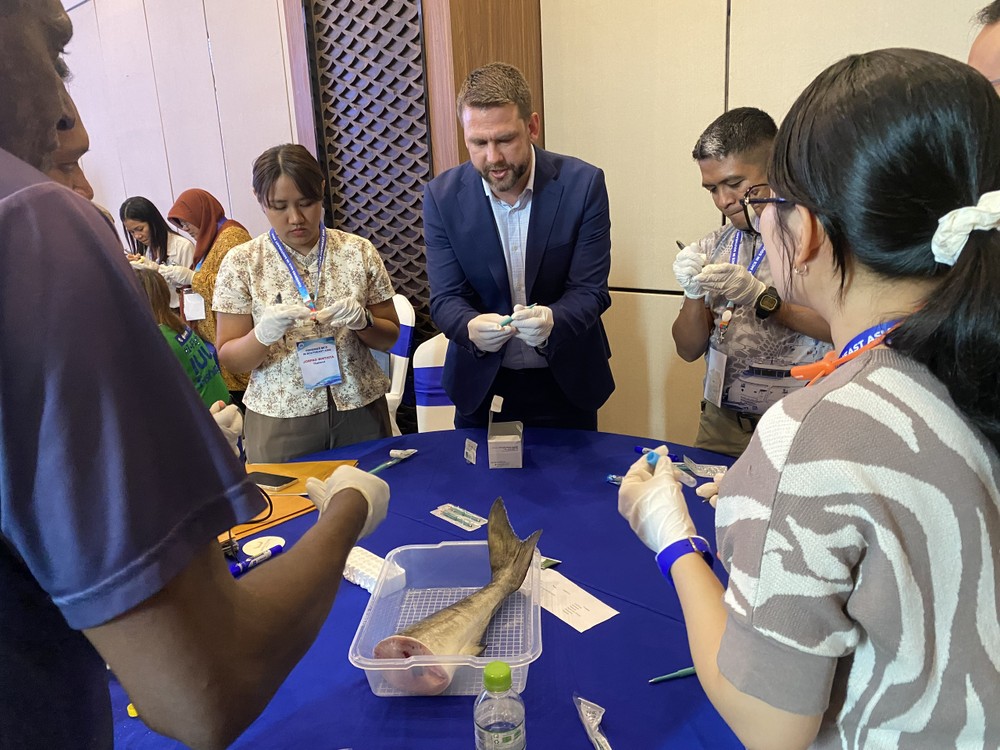 z6579583270752-ba7a921772fb65a3cdc49369a73d2b33-8894-5516.jpg.jfif