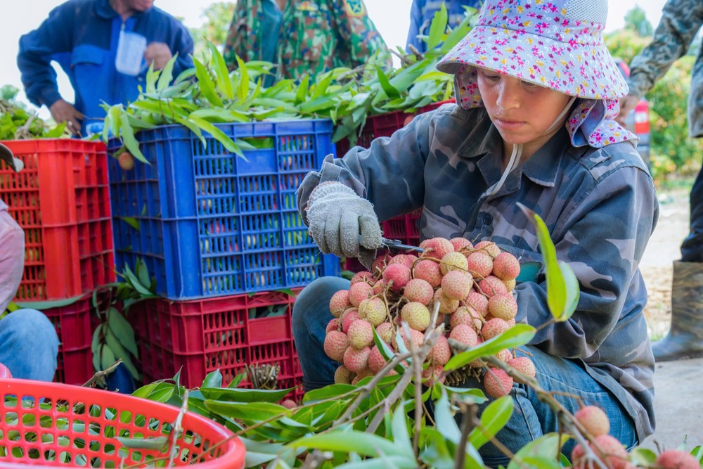 z6582938726143-d8d112b5860c445029b2ef7efa80c847-9577-4176.jpg.jfif