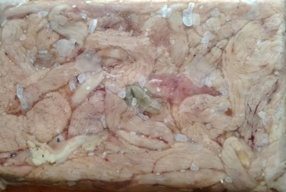 img-8959-5950-5231.jpeg.jfif