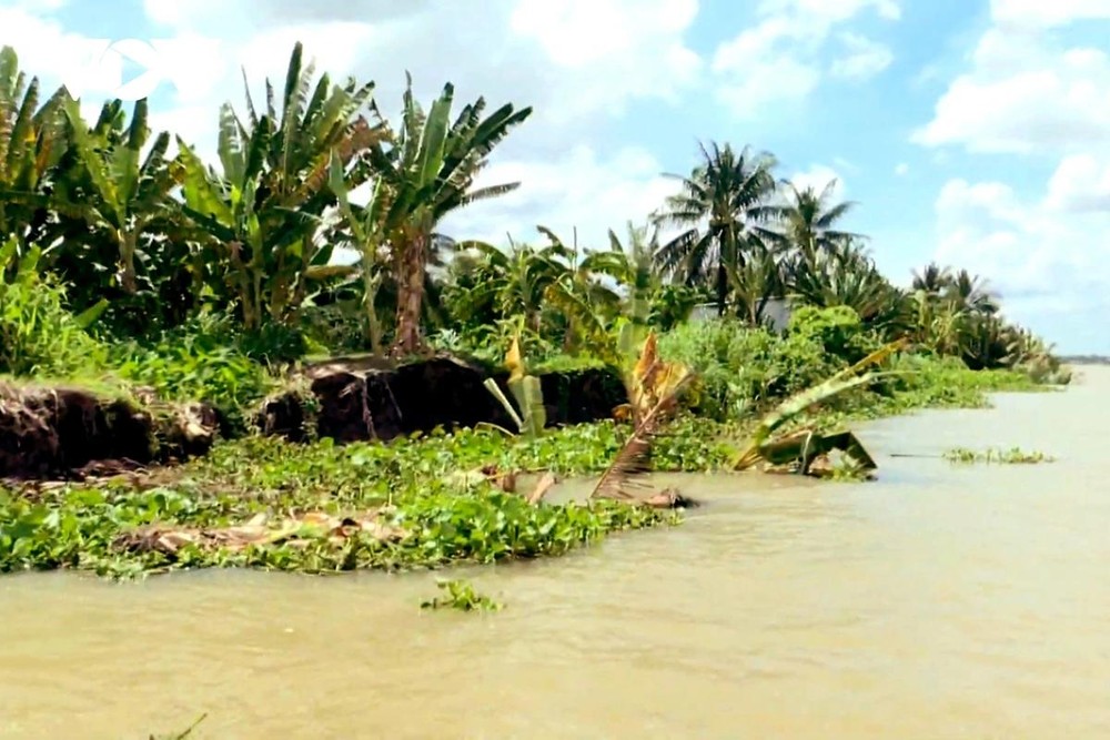 con-ho-8172-7651.jpg.jfif