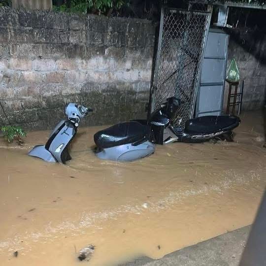 img-9083-1983-1999.jpeg.jfif