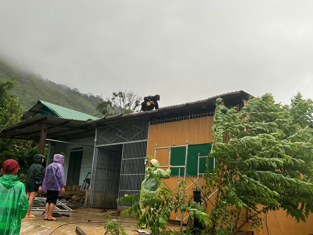 1d33503f80ab34f56dba-491-7700.jpg.jfif