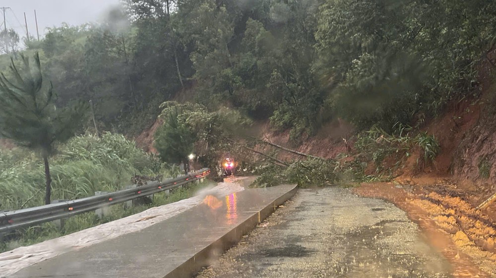 de346b66b5e901b758f8-3547-1064.jpg.jfif