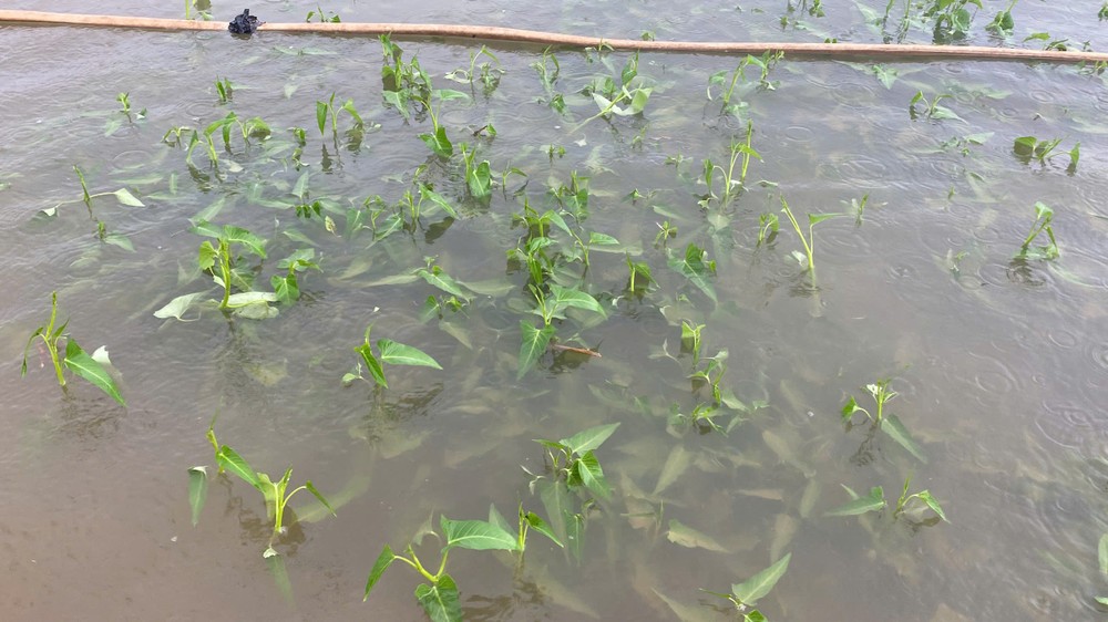 z6697151883661-dbc8a0bc7fd76b9b8efc2145c64059e3-3424-3725.jpg.jfif