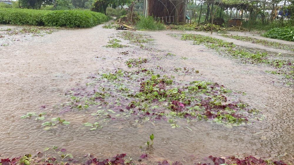 z6697152101209-fb540c451f57fbd5b8b9e3dd6fcd8cf0-8101-4569.jpg.jfif