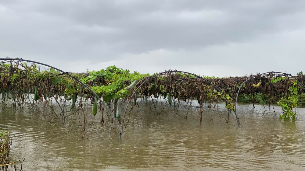 z6697153646769-b61e5dbabe46c1a6fbb7eb2e5376d0c1-5906-3674.jpg.jfif