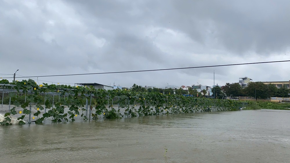 z6697153899529-62c2985cf37b9a276555831b1d22dd55-4378-7519.jpg.jfif