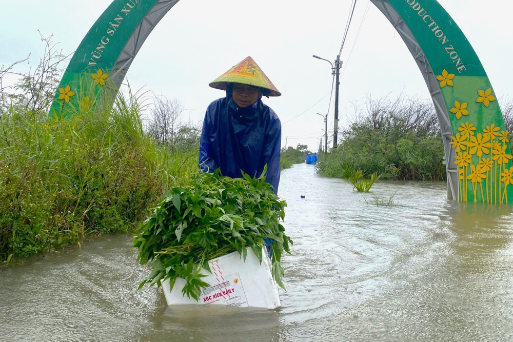 z6697153974649-21f943c56401847ab30357cae1439ee6-4295-8625.jpg.jfif