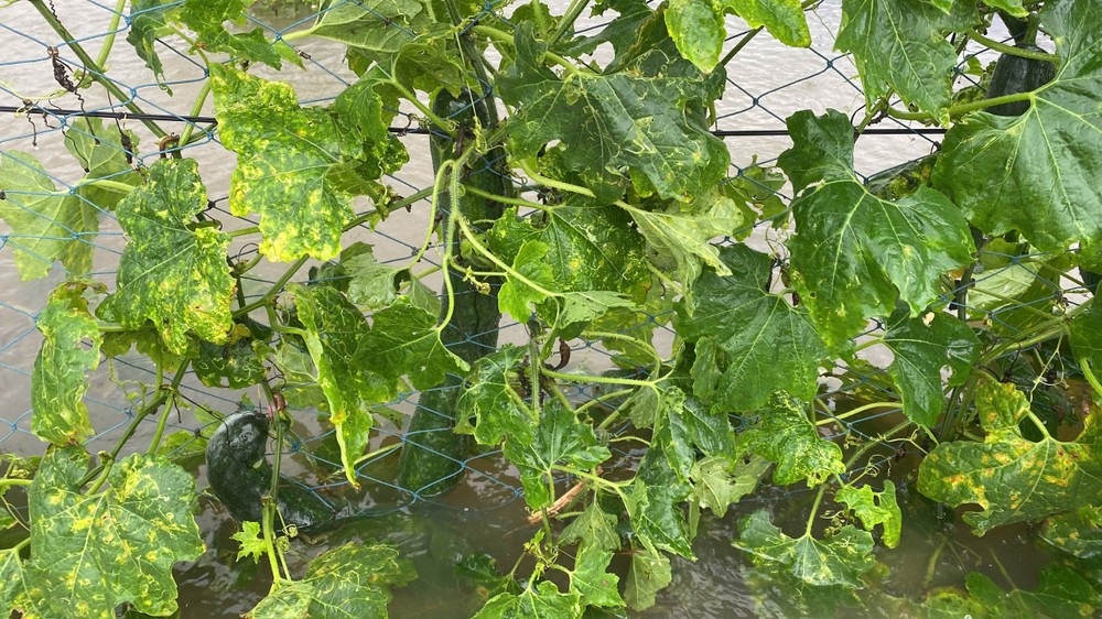 z6697154035278-7d4be4decb357833629fdf2462a2d895-5749-8353.jpg.jfif