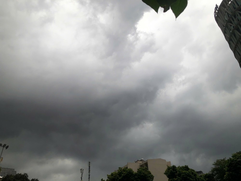 img-1067-7238-9391.jpeg.jfif