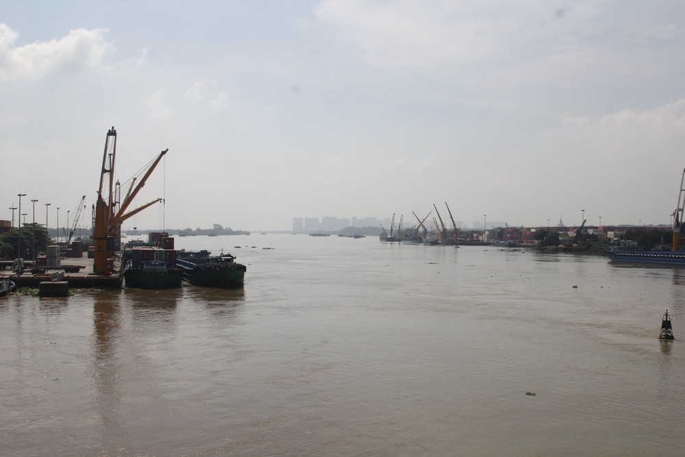 img-1892-2467-9500.jpeg.jfif