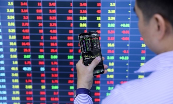 Domestic securities companies face losses ảnh 1