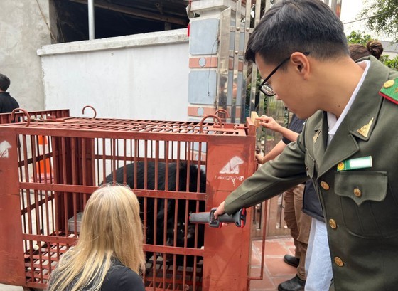 The rescuing activity with the collaboration of Hanoi Forest Protection Department