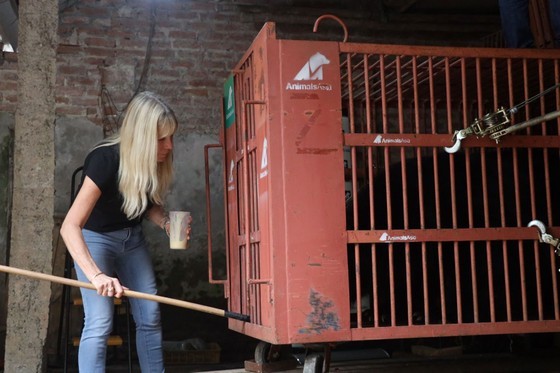 Veterinary experts from Animals Asia in the rescuing activity of 5 Asian black bears in Phung Thuong Commune