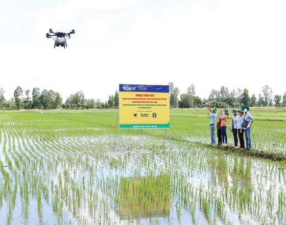 Farmers are using advanced technologies in their cultivation process (Photo: SGGP)