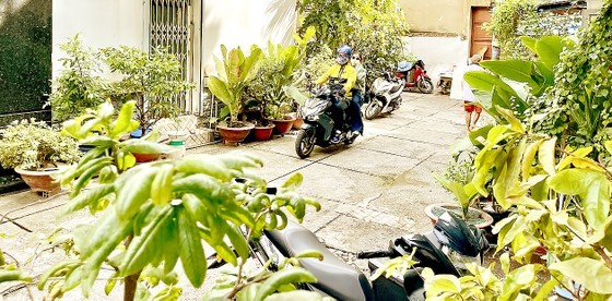 Alley 468 on Tran Hung Dao Street of District 5 has been greened (Photo: SGGP) Alley 468 on Tran Hung Dao Street of District 5 has been greened (Photo: SGGP)