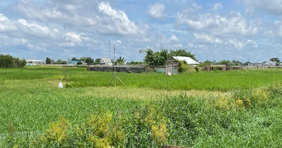 The project of Xuan Thoi Thuong Industrial Park in Hoc Mon District has just been allowed to resume to better exploit the land resource The project of Xuan Thoi Thuong Industrial Park in Hoc Mon District has just been allowed to resume to better exploit the land resource