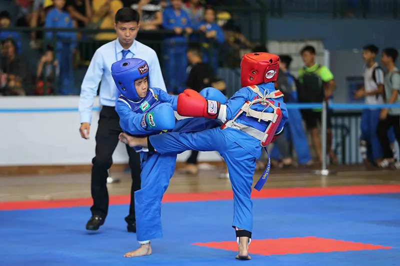Giải vovinam năng khiếu TPHCM 2018: 400 VĐV tranh tài ảnh 1