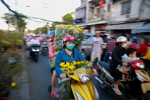 Chợ hoa xuân trên bến dưới thuyền… ảnh 10