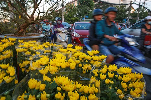 Chợ hoa xuân trên bến dưới thuyền… ảnh 6