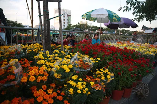 Chợ hoa xuân trên bến dưới thuyền… ảnh 5