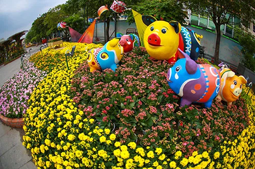 Đường hoa Nguyễn Huệ năm 2019 nhìn từ trên cao ảnh 8