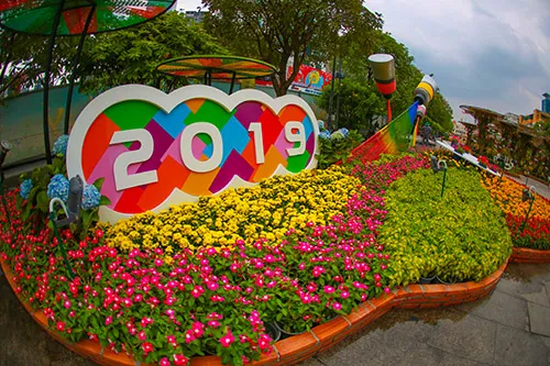 Đường hoa Nguyễn Huệ năm 2019 nhìn từ trên cao ảnh 6