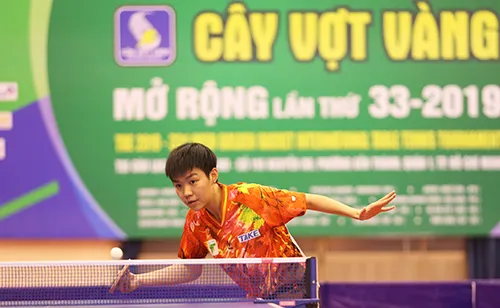 Giải bóng bàn Quốc tế cây vợt vàng 2019: Lo cho bóng bàn Việt Nam tại SEA Games sắp tới ảnh 1